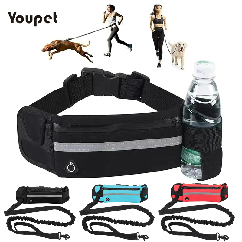 Running Gear Dog - Dog Running Waist Leash Nylon Pet