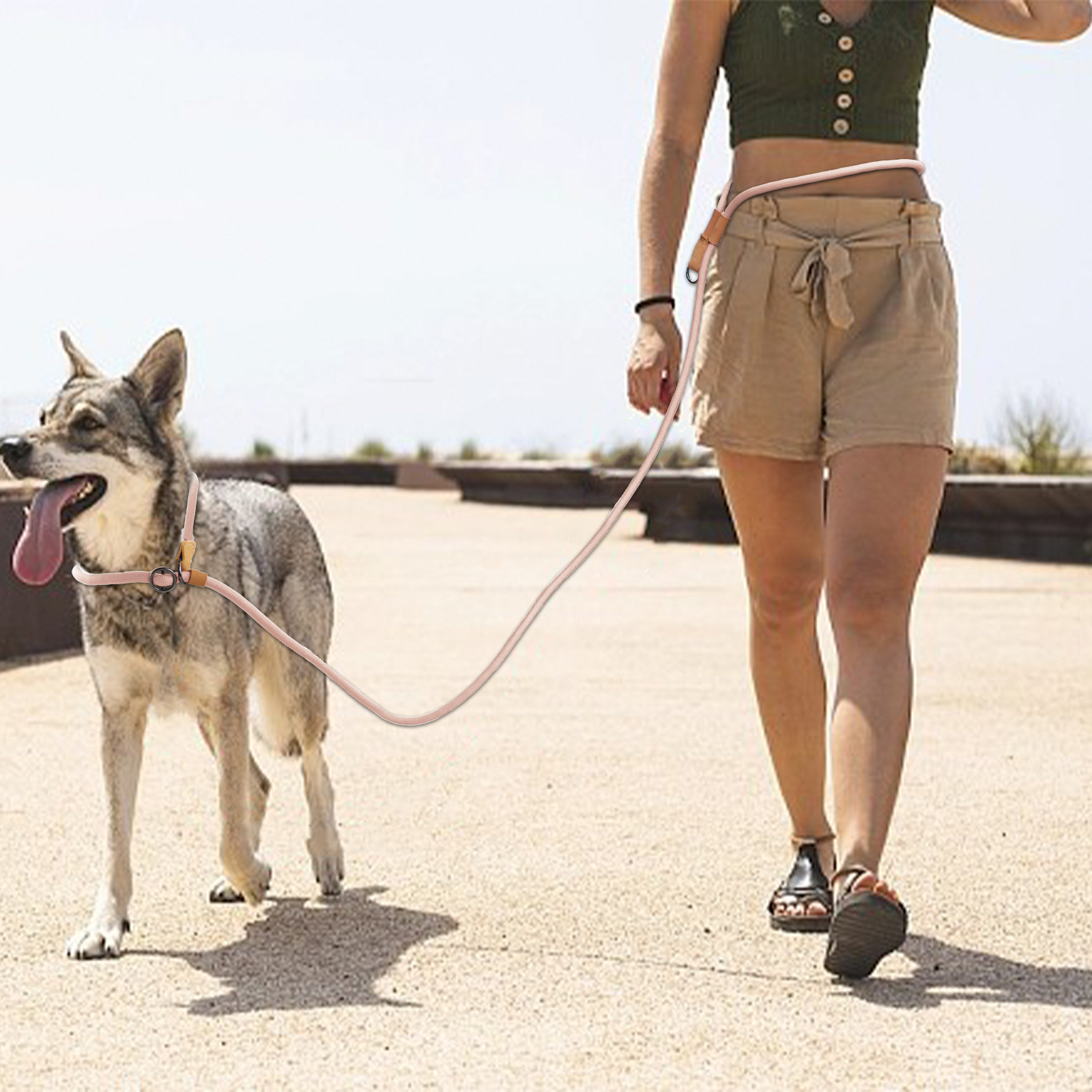 Multi-functional adjustable P- - Running Gear Dog avis et prix