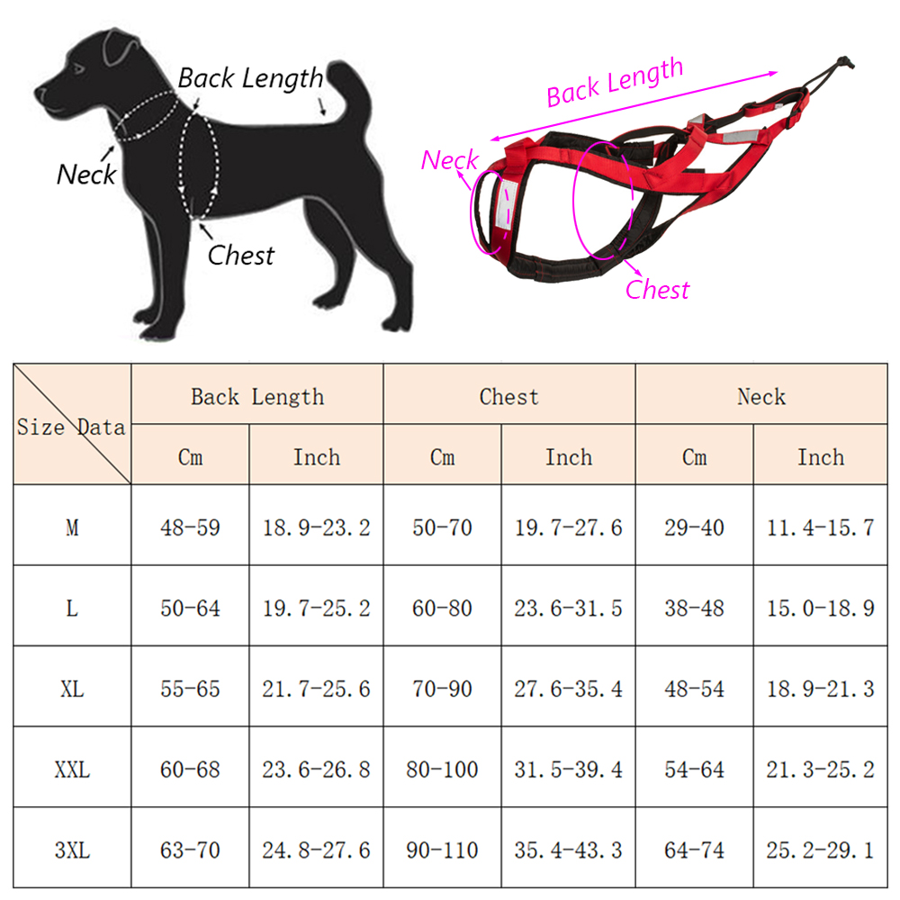 High Quality Big Dog Sledge Ha - Running Gear Dog avis et prix