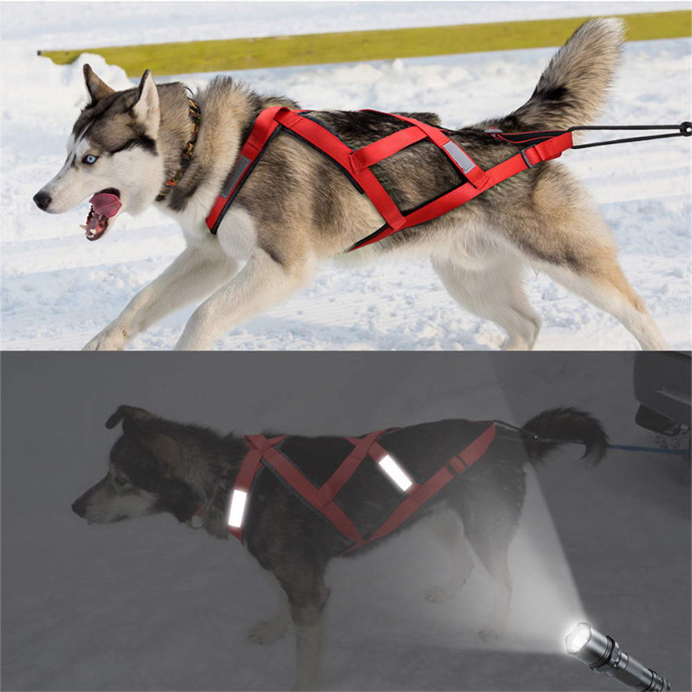 High Quality Big Dog Sledge Ha - Running Gear Dog avis et prix