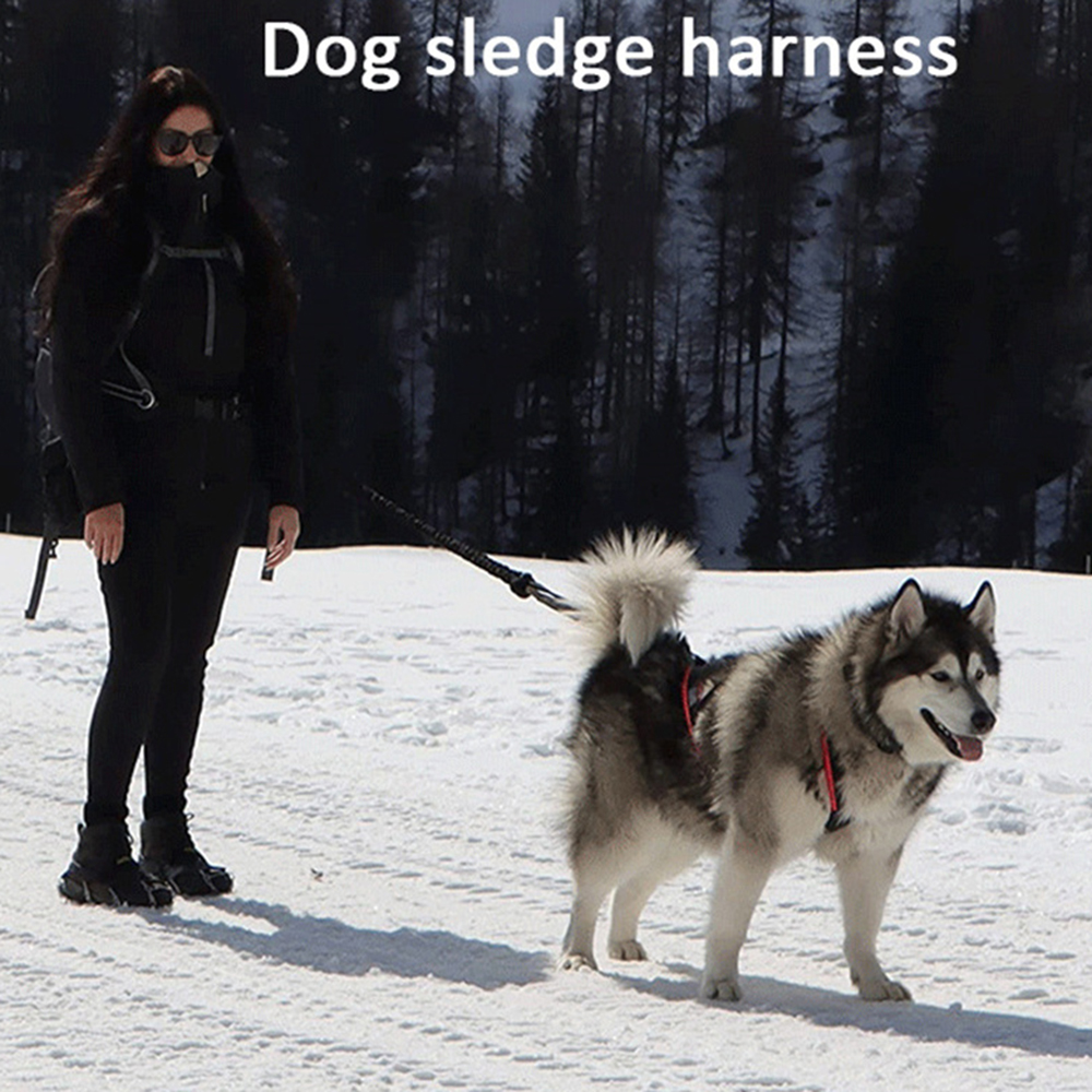 High Quality Big Dog Sledge Ha - Running Gear Dog avis et prix