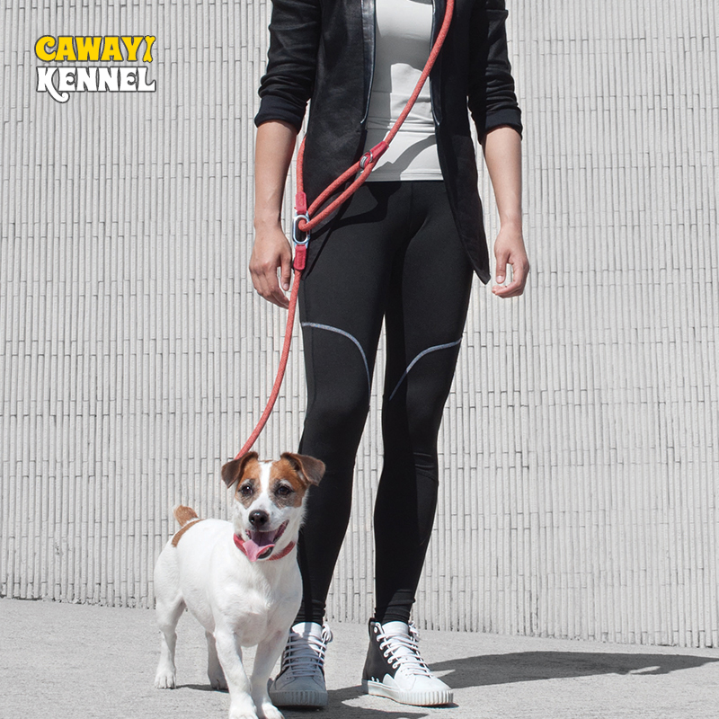 CAWAYI KENNEL Reflective Nylon - Running Gear Dog avis et prix