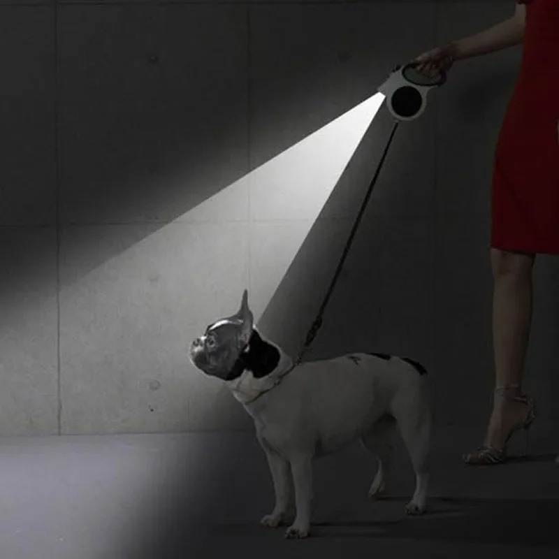 1Pcs Illuminated Retractable D - Running Gear Dog avis et prix
