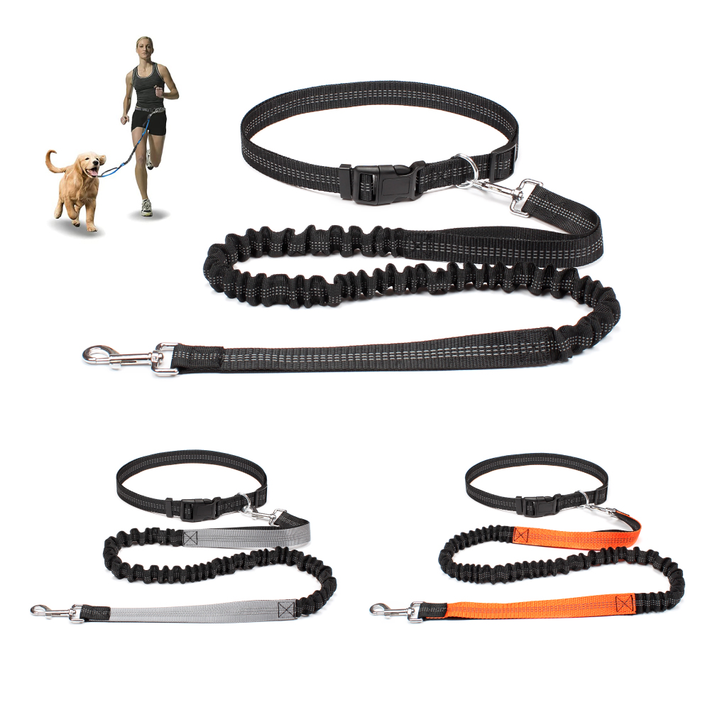 Hand Free Dog Leash for Pet Wa - Running Gear Dog avis et prix