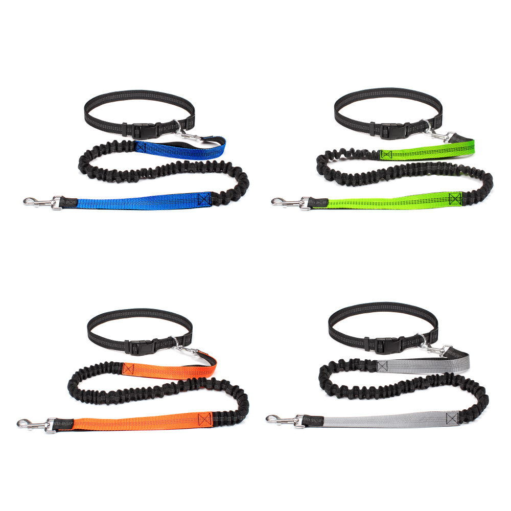 Hand Free Dog Leash for Pet Wa - Running Gear Dog avis et prix