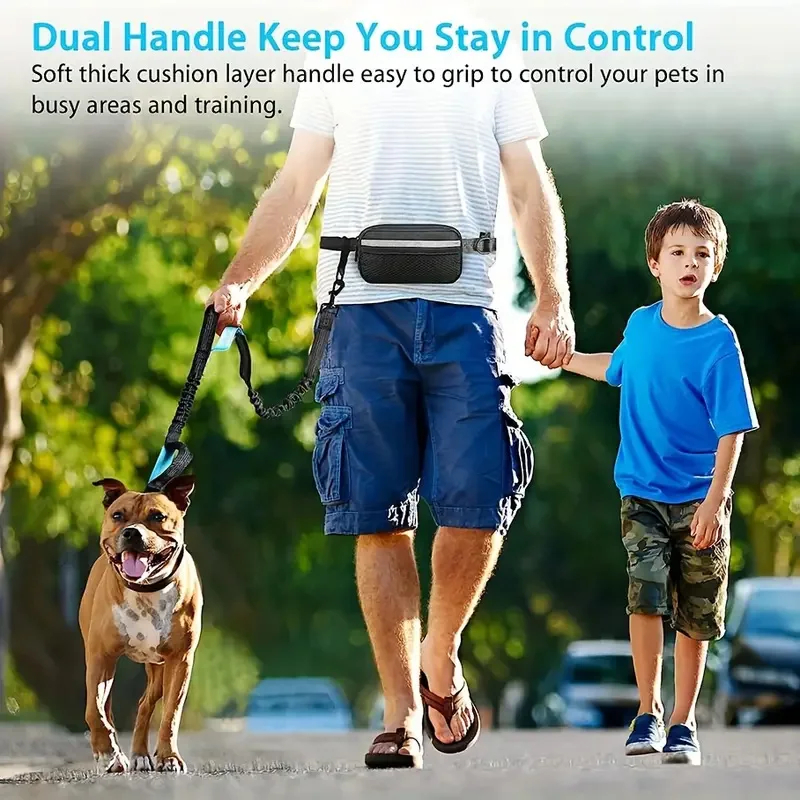 Free Dog Leash with Zipper Pou - Running Gear Dog avis et prix
