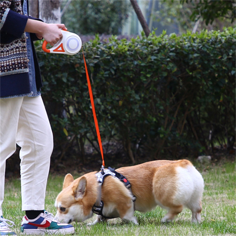 5M Automatic Retractable Dog L - Running Gear Dog avis et prix