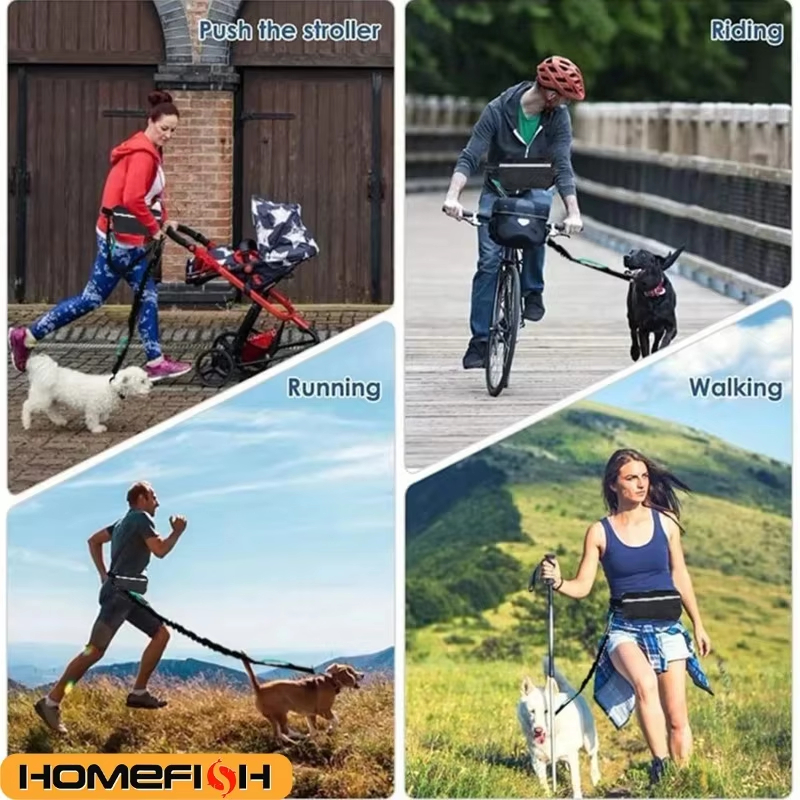 High Visibility Hands-Free Dog - Running Gear Dog avis et prix