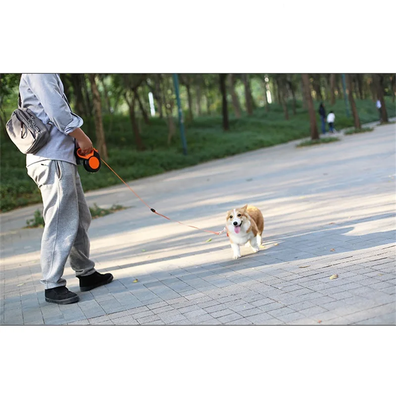 3M/5M/8MRetractable Dog Leash  - Running Gear Dog avis et prix