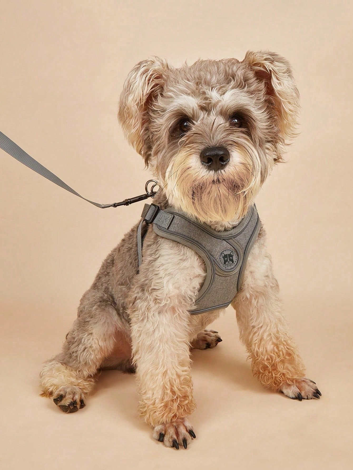 Dog Harness for Small Medium D - Running Gear Dog avis et prix