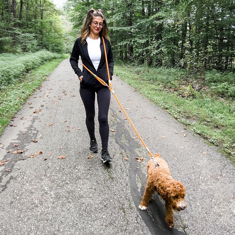 Reflective Hands-Free Dog Leas - Running Gear Dog avis et prix