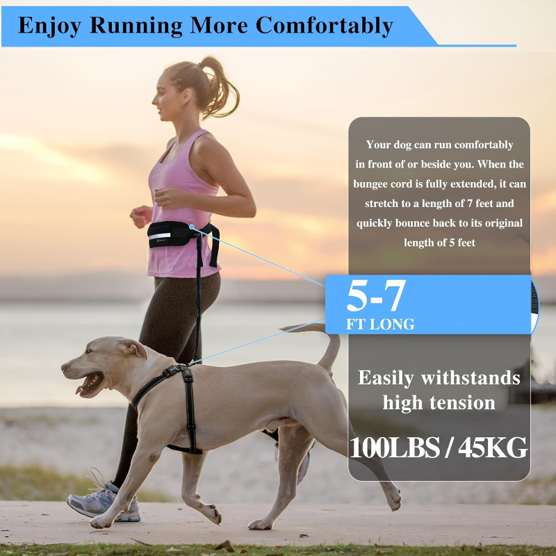 Hands Free Dog Leash with Zipp - Running Gear Dog avis et prix
