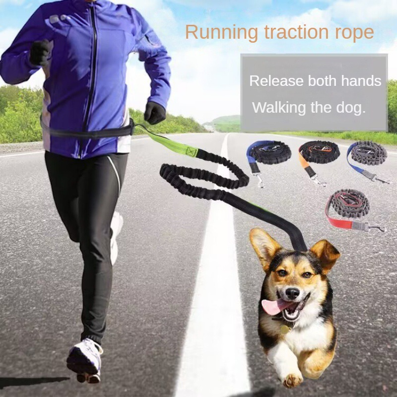 Hand Free Dog Leash for Pet Wa - Running Gear Dog avis et prix