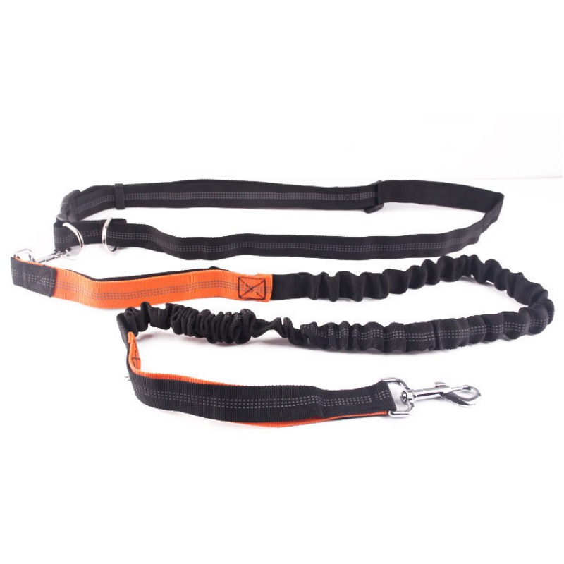 Hand Free Dog Leash for Pet Wa - Running Gear Dog avis et prix
