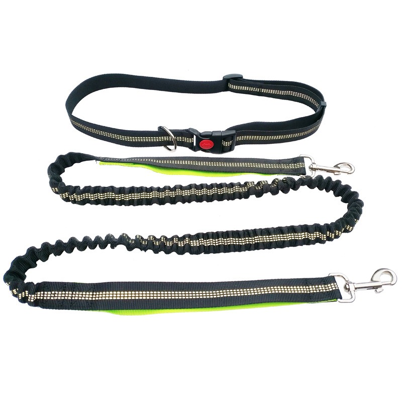 Hand Free Dog Leash for Pet Wa - Running Gear Dog avis et prix