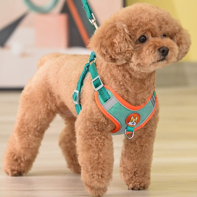 Adjustable No Pull Pet Reflect - Running Gear Dog avis et prix