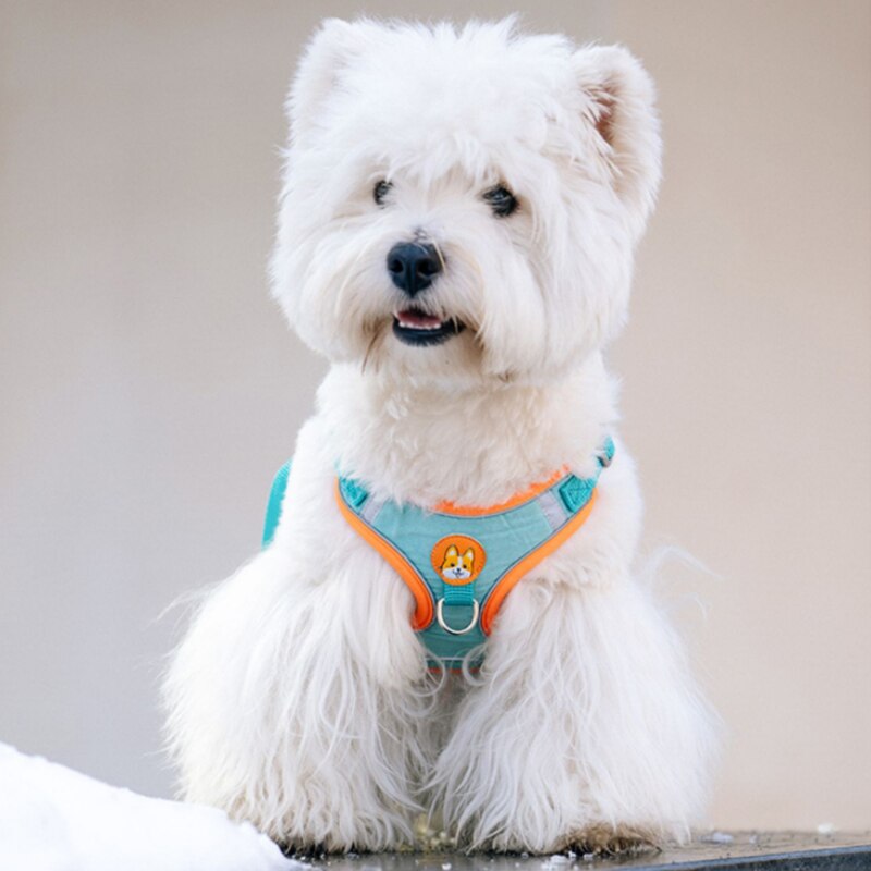 Adjustable No Pull Pet Reflect - Running Gear Dog avis et prix