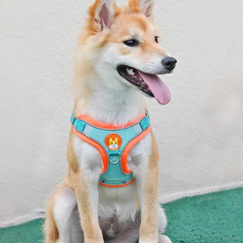 Adjustable No Pull Pet Reflect - Running Gear Dog avis et prix